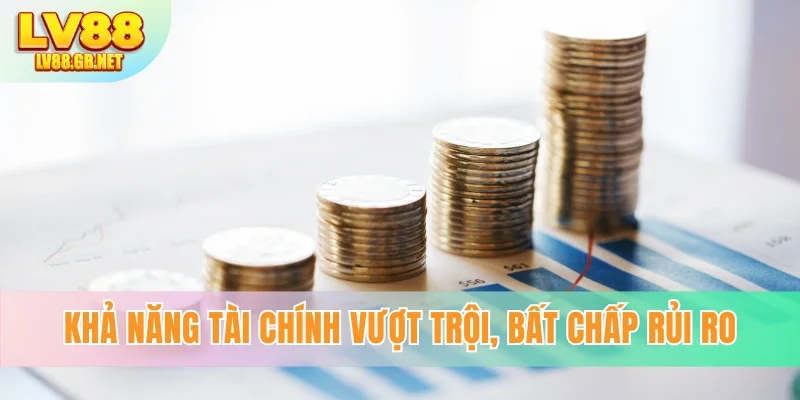 Khả năng tài chính vượt trội, bất chấp rủi ro